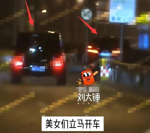 刘大锤爆料可信吗视频,视频内容深度剖析