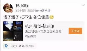 网红身份爆料视频下载,下载背后的秘密与技巧